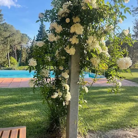 Holiday home Sassineri Country House *